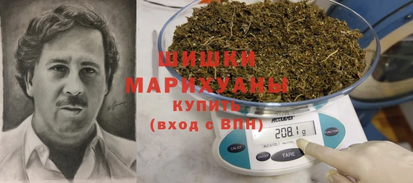 бошки Бронницы